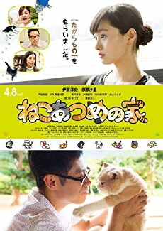 Neko Atsume House (2017) - Stream Online