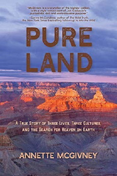 Pure Land (2019) - Stream Online