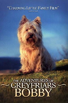 The Adventures of Greyfriars Bobby (2005) - Stream Online