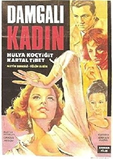 Damgali kadin (1966) - Stream Online