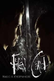 Fallen Cards (2014) - Stream Online