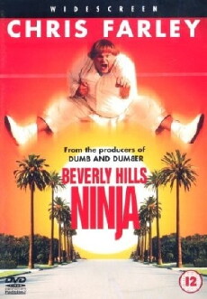 Beverly Hills Ninja (1997) - Stream Online