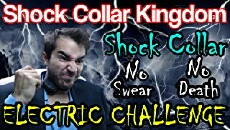 Shock Collar Kingdom Live! (2015) - Stream Online