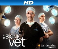 The Bionic Vet (2010) - Stream Online