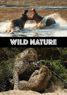 Wild Nature (2008) - Stream Online