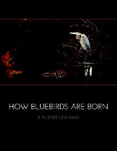 How Bluebirds Are Born (2018) - Stream Online