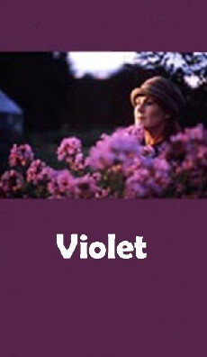 Violet (2000) - Stream Online