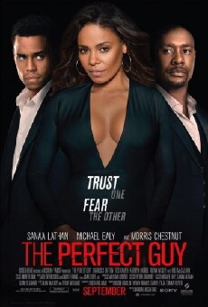 The Perfect Guy (2015) - Stream Online