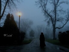 Wraith (2017) - Stream Online