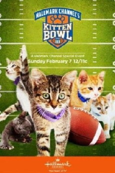 Kitten Bowl III (2016) - Stream Online