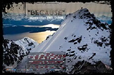 Because (2013) - Stream Online