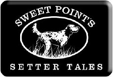 Sweet Point's Setter Tales (2017) - Stream Online