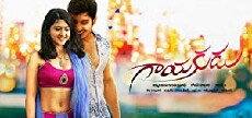 Gayakudu (2015) - Stream Online