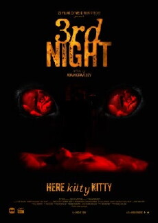 3rd Night (2017) - Stream Online