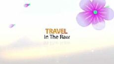 Travel in the Raw (2014) - Stream Online