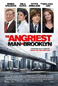 The Angriest Man in Brooklyn (2014) - Stream Online