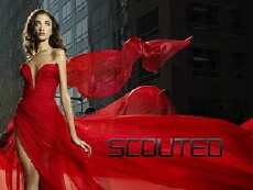 Scouted (2011) - Stream Online