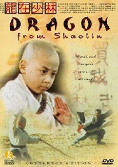 Dragon from Shaolin (1996) - Stream Online