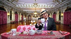 The Noshing with Nina Show (2017) - Stream Online