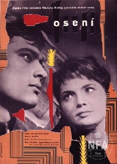 Junge Liebe (1961) - Stream Online