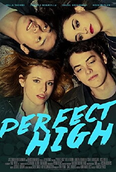 Perfect High (2015) - Stream Online
