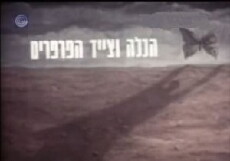 The Bride and the Butterfly Hunter (1974) - Stream Online