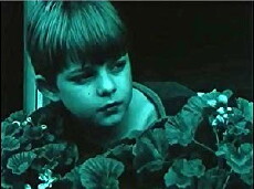 Das Regenbogenkügelchen (1985) - Stream Online