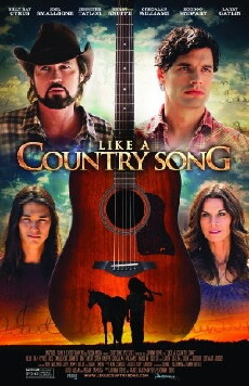 Like a Country Song (2014) - Stream Online
