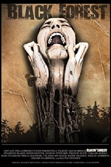 Black Forest (2015) - Stream Online