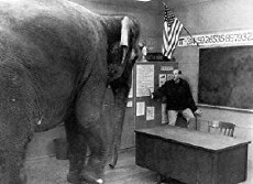 Where the Elephant Sits (1997) - Stream Online