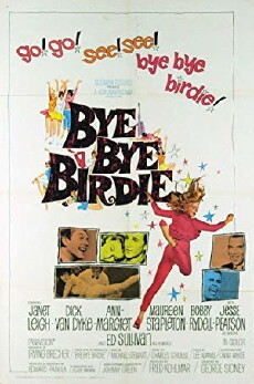 Bye Bye Birdie (1963) - Stream Online