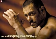Sultan (2016) - Stream Online