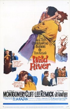 Wild River (1960) - Stream Online