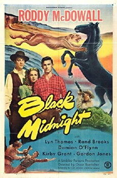 Black Midnight (1949) - Stream Online