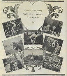 Thunderbolt Jack (1920) - Stream Online