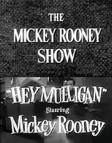The Mickey Rooney Show (1954) - Stream Online