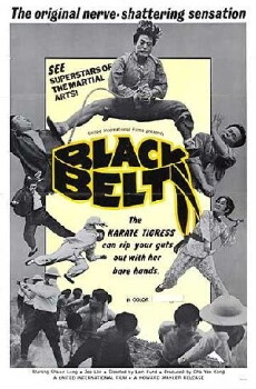 Black Belt (1973) - Stream Online
