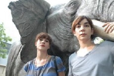 Mujeres elefante (2007) - Stream Online