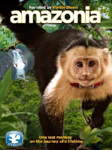 Amazonia - Abenteuer im Regenwald (2013) - Stream Online
