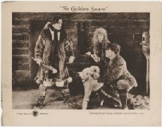 The Golden Snare (1921) - Stream Online