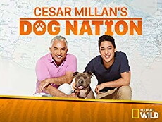 Cesar Millan's Dog Nation (2017) - Stream Online