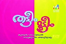 Thatteem Mutteem (2012) - Stream Online