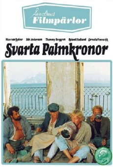 Black Palm Trees (1968) - Stream Online