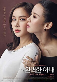 Perfect Wife (2017) - Stream Online