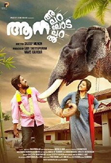 Aana Alaralodalaral (2017) - Stream Online