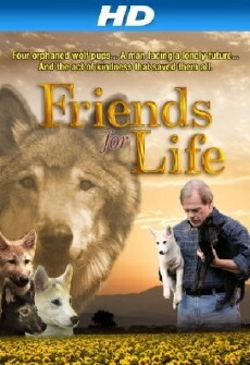 Friends for Life (2008) - Stream Online