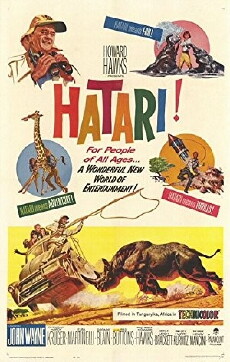 Hatari! (1962) - Stream Online