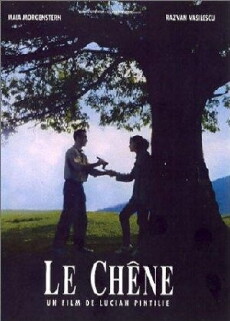 The Oak (1992) - Stream Online