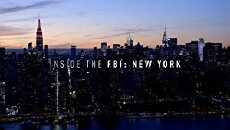 Inside the FBI: New York (2017) - Stream Online