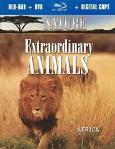 Extraordinary Animals (2008) - Stream Online